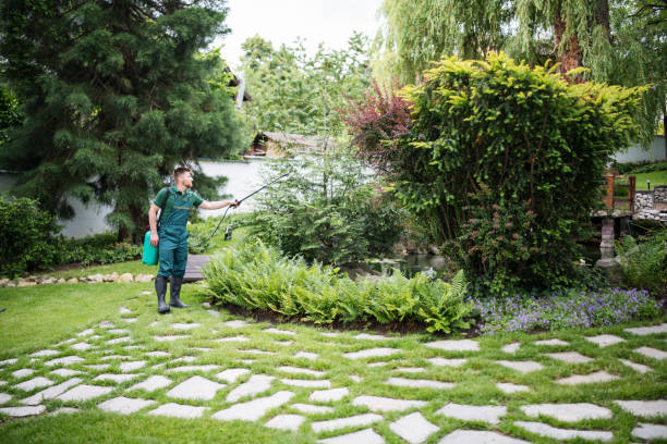 Best Best Pest Control Companies  in Linntown, PA
