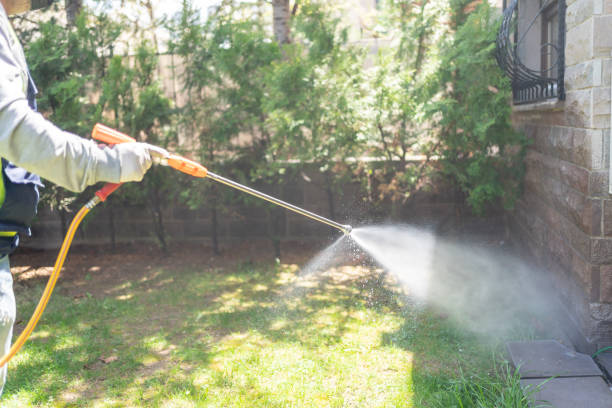 Spider Control Near Me in Linntown, PA