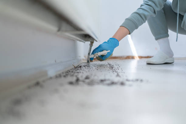 Best Pest Removal Services  in Linntown, PA